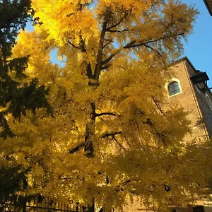 Residenza Ermanni Bed & Breakfast Verona